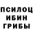 МДМА молли ebi TeRMiNaToR