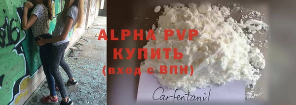 a pvp Белокуриха
