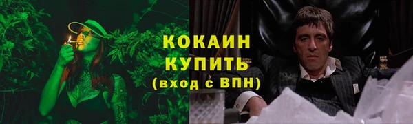 a pvp Белокуриха