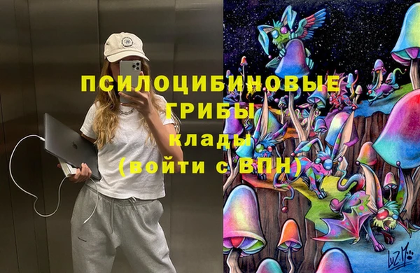 apvp Белоозёрский